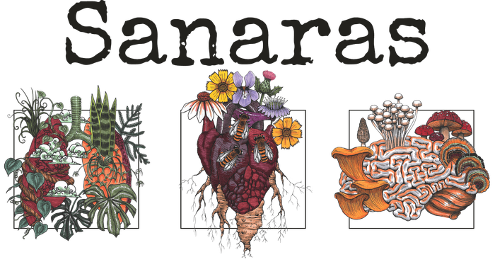 Sanaras Wellness Studio