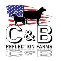 Reflection Farms